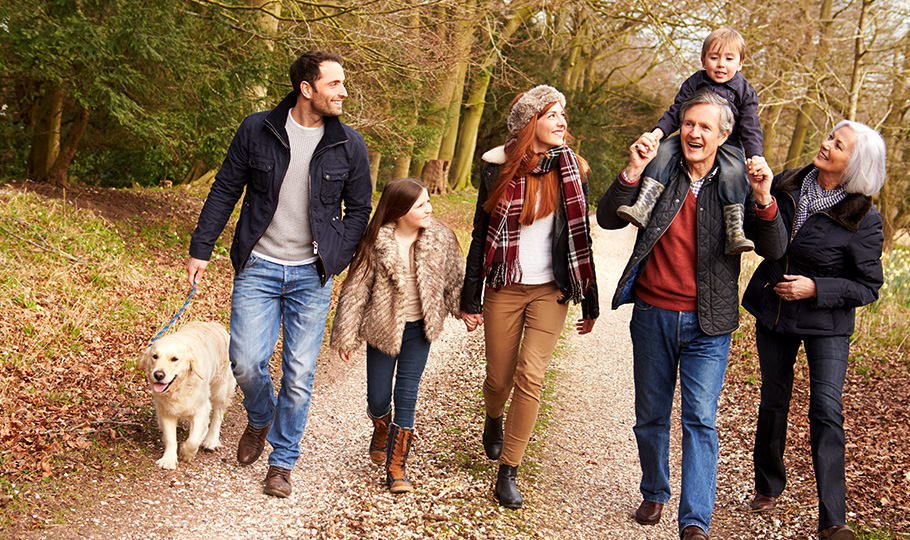 Estate Planning Strategies